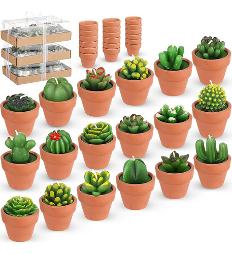 18 Pcs Suculento Cactus Tealight Velas Luces De Té Hechas A 