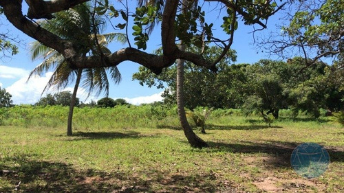 Imagem 7 de 15 de Proximo Ao Posto Da Prf Sao Jose Mipibu - V-11445