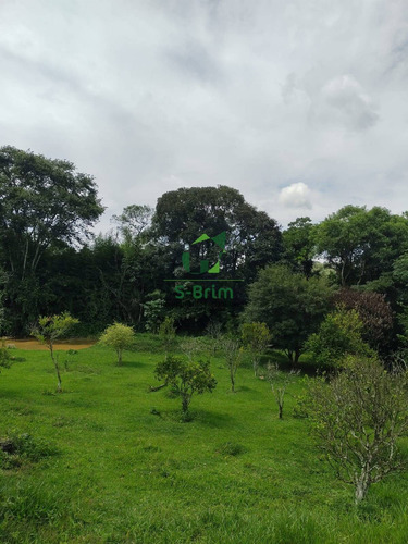 Imagem 5 de 15 de Terreno De 6.000m² - Boa Vista - 727