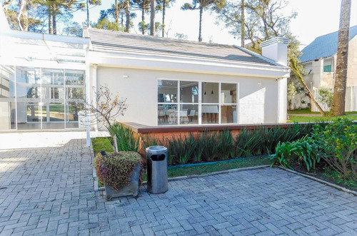 Imagem 22 de 23 de Terreno - Residencial - 926224
