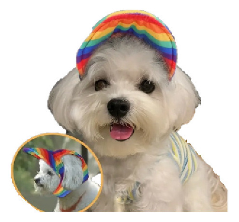 Gorra Lgbt Mascotas Perro - Unidad a $29954