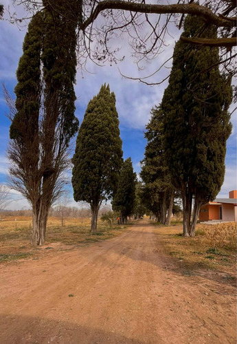 Terreno En Los Reartes Calamuchita