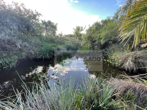 Campo En Venta De 53 Has. Con Vivienda Y Arroyo, Prox Minas