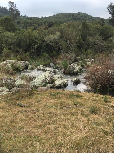 Imagen 1 de 19 de Campo 7 Has Con 1333 M2 Cerca De Aigua