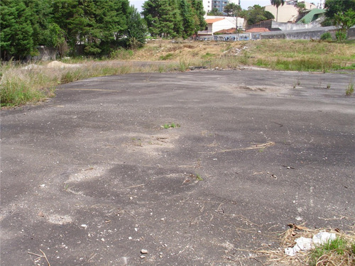 Terreno Para Aluguel, Valparaíso - Santo André/sp - 7033
