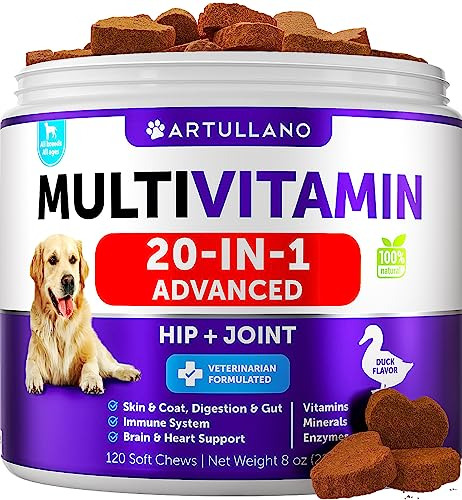 Multivitamínico De Perros Con Glucosamina 20 En 1 - 2hc7k