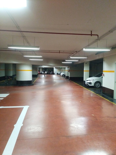 Imagen 9 de 11 de Torre Panamericana Plaza | Alquiler | 300 M2