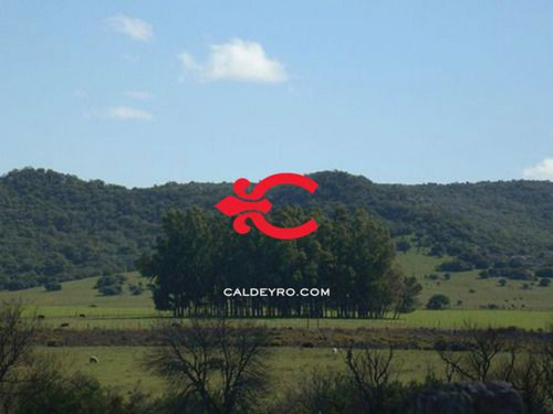 Campo En Cerros Del Penitente Ref. 2509