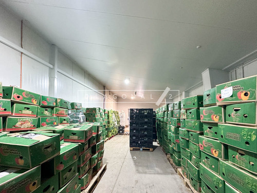 Bodega En Cerro Navia