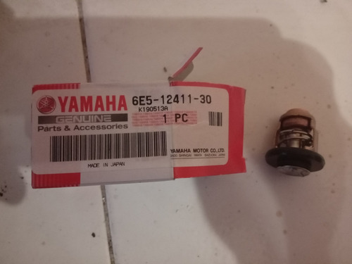 Termostato Fuera De Borda Yamaha