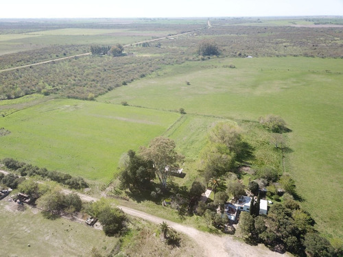 Imagen 14 de 20 de Chacra Sobre Ruta 20 Gualeguaychu!