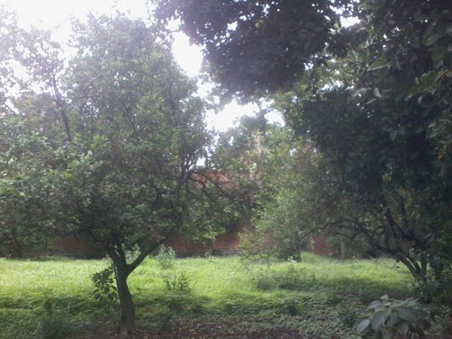 Imagen 7 de 8 de Terreno Comercial En Venta Itzamatitlan