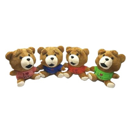 Imagen 3 de 3 de Peluche Teddies Surtidos.