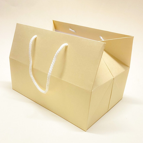 Imagen 3 de 7 de Caja Bolsa Premium Rígida C/cordón 18x25x18cm (x50u) 215