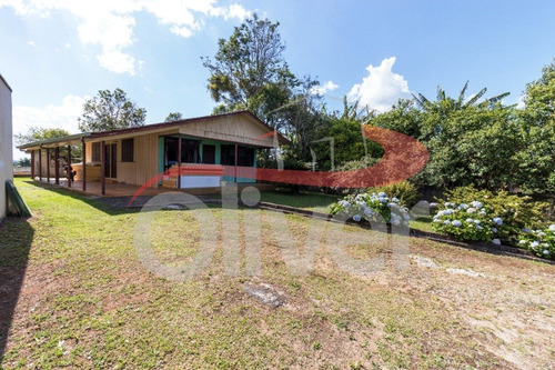 Imagem 11 de 30 de Terreno Em Barreirinha, Curitiba, Paraná - Te00033 - 33491718