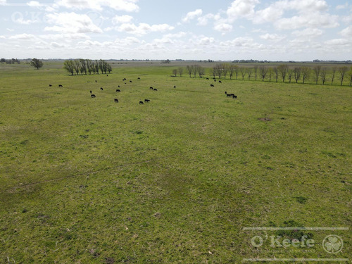 Campo En Venta 133 Has En Magdalena - Mixto.