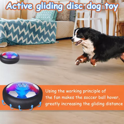 Comprar Juguetes interactivos para perros, pelota rodante eléctrica  duradera con Control remoto, juguetes para perros y gatos, juguetes para  cachorros/perros pequeños/medianos