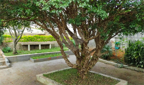 Imagem 3 de 30 de Sobrado A Venda Com Excelente Terreno Na Vila Das Belezas - Reo679709
