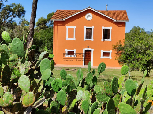 Chalet De Epoca Casco De Alto Valor Histórico Reciclado, Una Belleza !!!