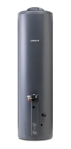 Termotanque A Gas Longvie Potenciado 132 Litros Tp600ap-n