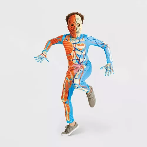 sirena efecto Perseguir Disfraz De Niño Cuerpo Humano Sistema Muscular Circulatorio |  HOME_IMPORTS_USA