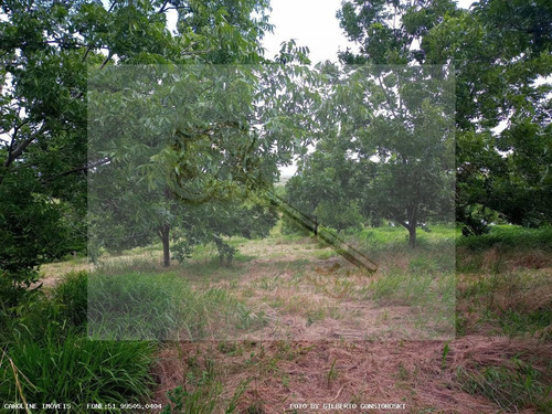 Imagem 6 de 15 de Sítio / Chácara Para Venda Em General Câmara, -, 2 Dormitórios, 2 Banheiros, 2 Vagas - 10010_1-2229460