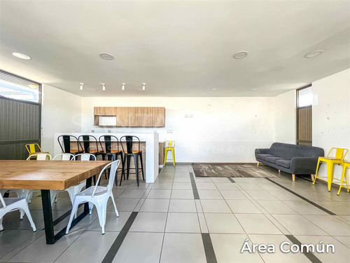 Arriendo Departamento Desiderio Sanhueza, Concepción