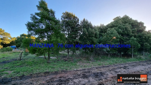 Imagen 11 de 14 de Lote De 400 Mts2 Arenas De Oro V4634 Con Escritura