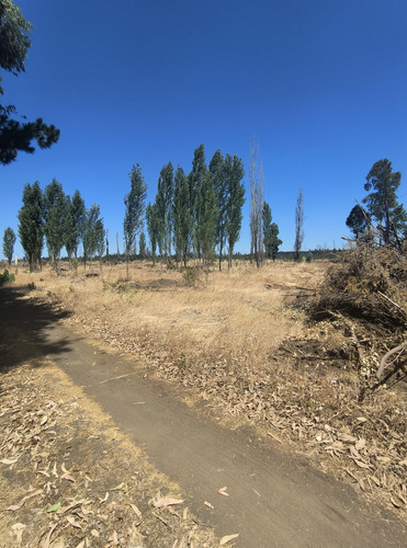 Venta De Parcelas, Fundo Del Itata, Campanario Yungay