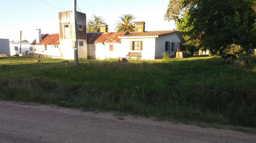 Imagen 18 de 19 de Chalet Y 4 Casas Alquiladas En Sauce Canelones