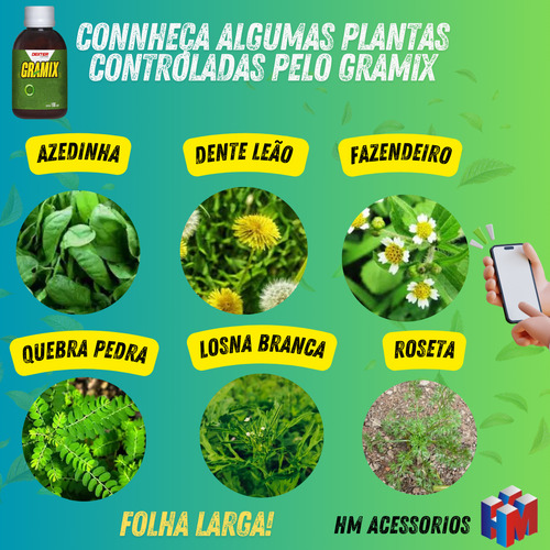 Gramix 100ml Herbicida Seletivo Para Gramas Gramados Jardim