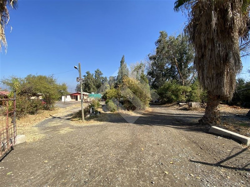 Imagen 6 de 12 de Venta Sitio Lampa Panamericana Norte 11 Hectáreas