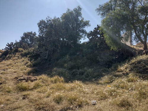 Terreno La Posta Tizayuca Hidalgo Sup. 4,500 Mts