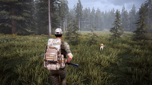 Juego multimedia físico Hunting Simulator 2 para PS4