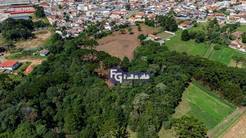 Imagem 17 de 30 de Terreno À Venda, 17538 M² Por R$ 3.500.000,00 - Guatupê - São José Dos Pinhais/pr - Te0074