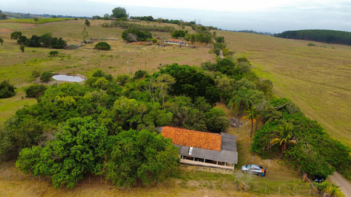 Sítio Terreno 42,000m2 Conchas Sp