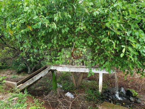 Chácara Com 4 Dormitórios À Venda, 31000 M² Por R$ 720.000,00 - Estrada Municipal Rural - Cajuru/sp - Ch0073