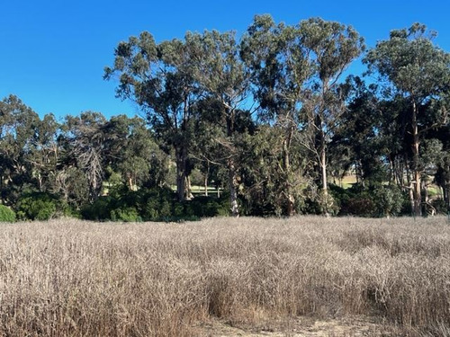 Sitio En Venta En Zapallar