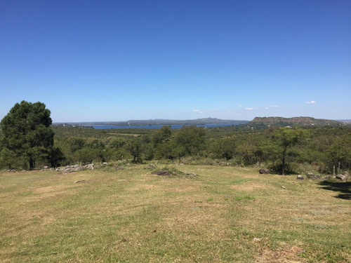 Imagen 10 de 12 de Campo - Villa Del Dique