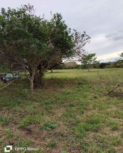 Venta Terreno En Ampliación Mata De Pita, Veracruz.