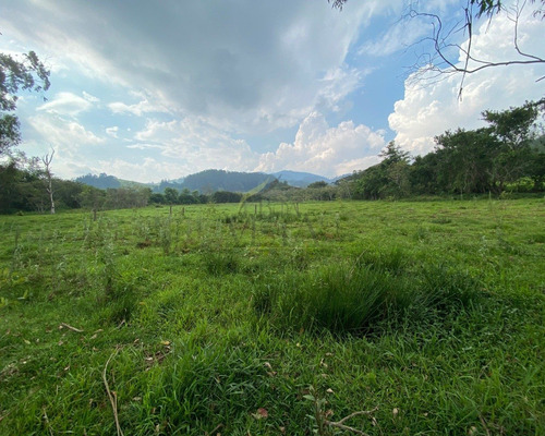 Chácara Próxima Ao Centro A Venda Em Piracaia - Sp - Ch00052 - 68973912