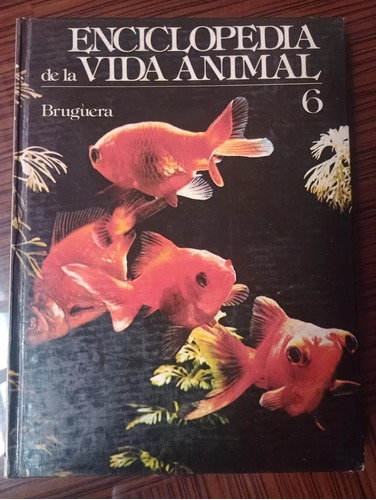 Enciclopedia De La Vida Animal  (Reacondicionado)