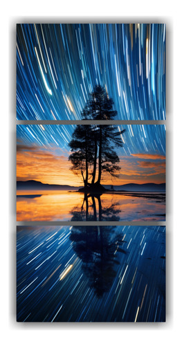 30x60cm Cuadros Escenario Shooting Star Trail Hermoso Flores