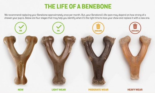 Imagen 6 de 10 de Benebone Wishbone Bacon Small Juguete Perro Hueso Masticable