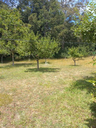 Imagen 28 de 30 de Agrícola Orilla Asfalto Con 5 Hectáreas En Venta En Cunco
