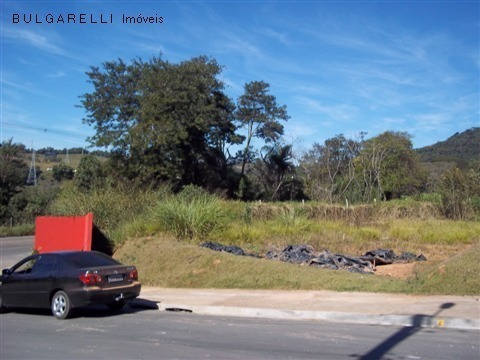 Imagem 4 de 6 de Terreno - Te00219 - 1583398
