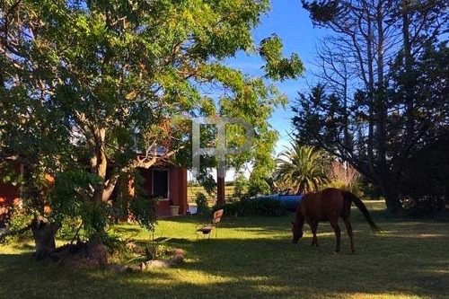 Imagen 15 de 15 de Chacra En Venta Laguna Del Sauce 3 Dormitorios, 5 Hectáreas