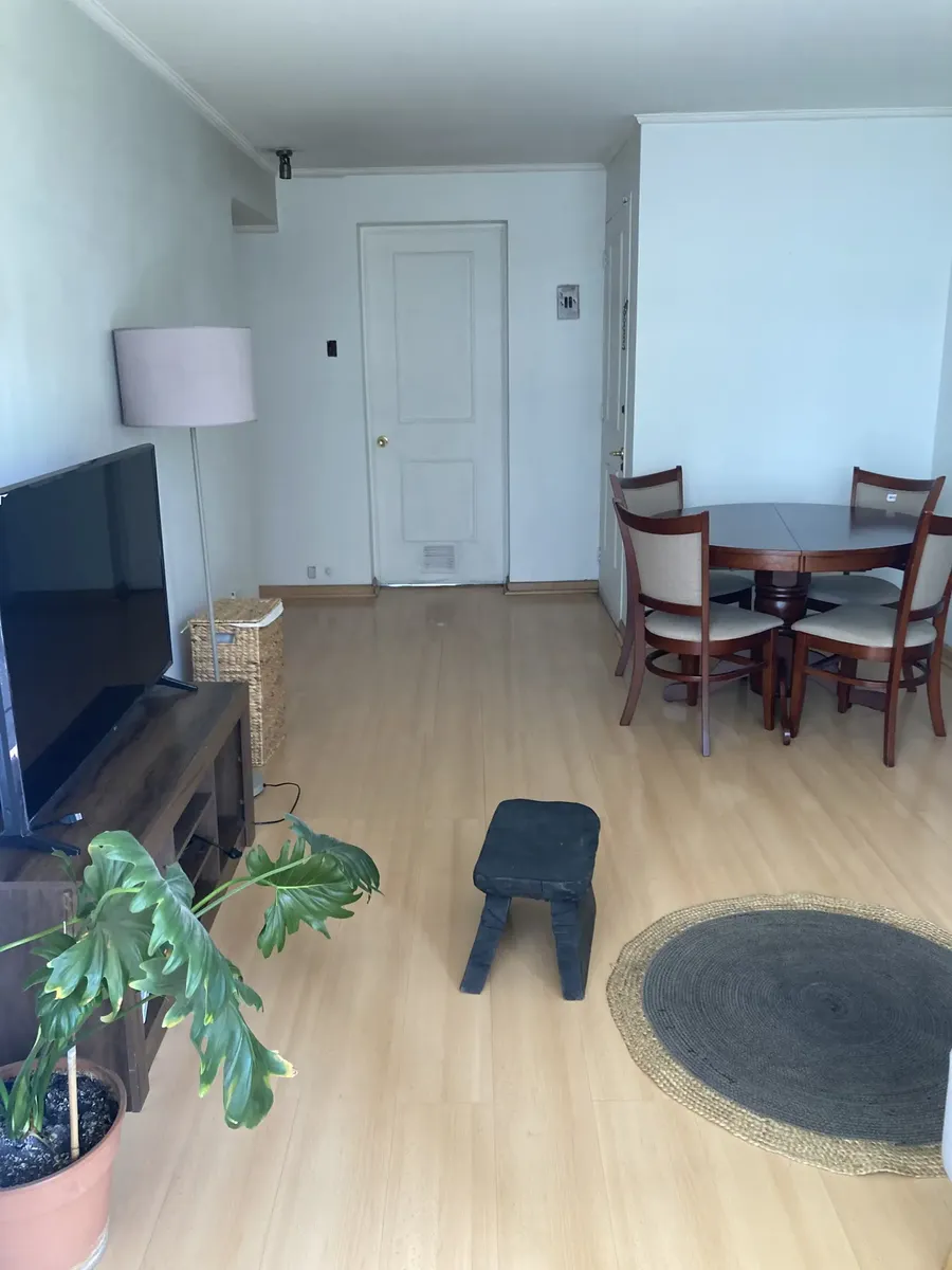 Imagen 2 de 12 de Encantador Departamento En Providencia