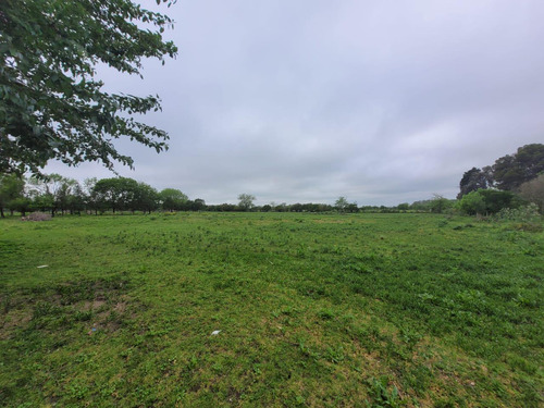 Terreno En Venta Barrio Parque Altos El Ombu