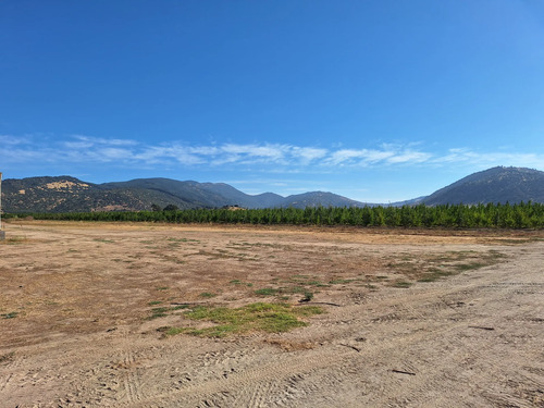 Venta De Campo Agrícola En Sagrada Familia 72.387-cam